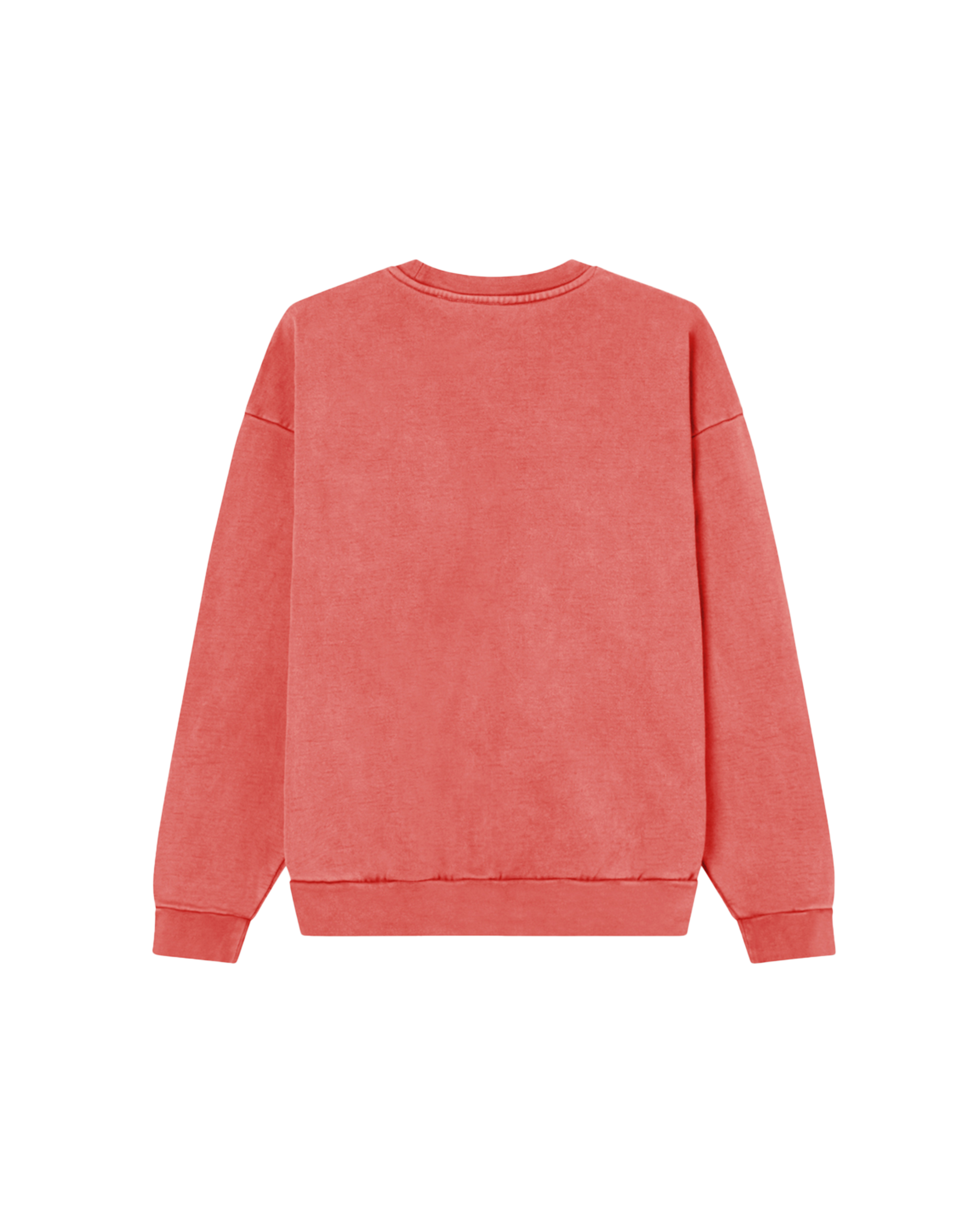 LOWERCASE PIGMENT CREWNECK - Image 2